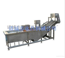 銷優質不銹鋼氣泡式干果清洗機圖片,銷優質不銹鋼氣泡式干果清洗機高清圖片 諸城市榮昌不銹鋼加工廠,